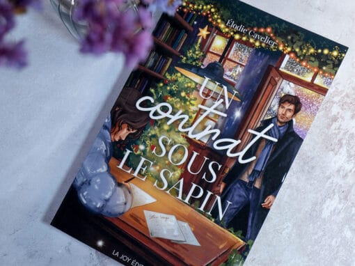 Un contrat sous le sapin – roman