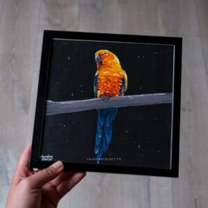 Perroquet - œuvre originale