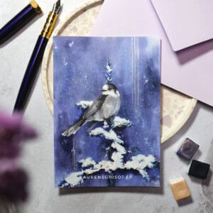 Mésangeai du Canada